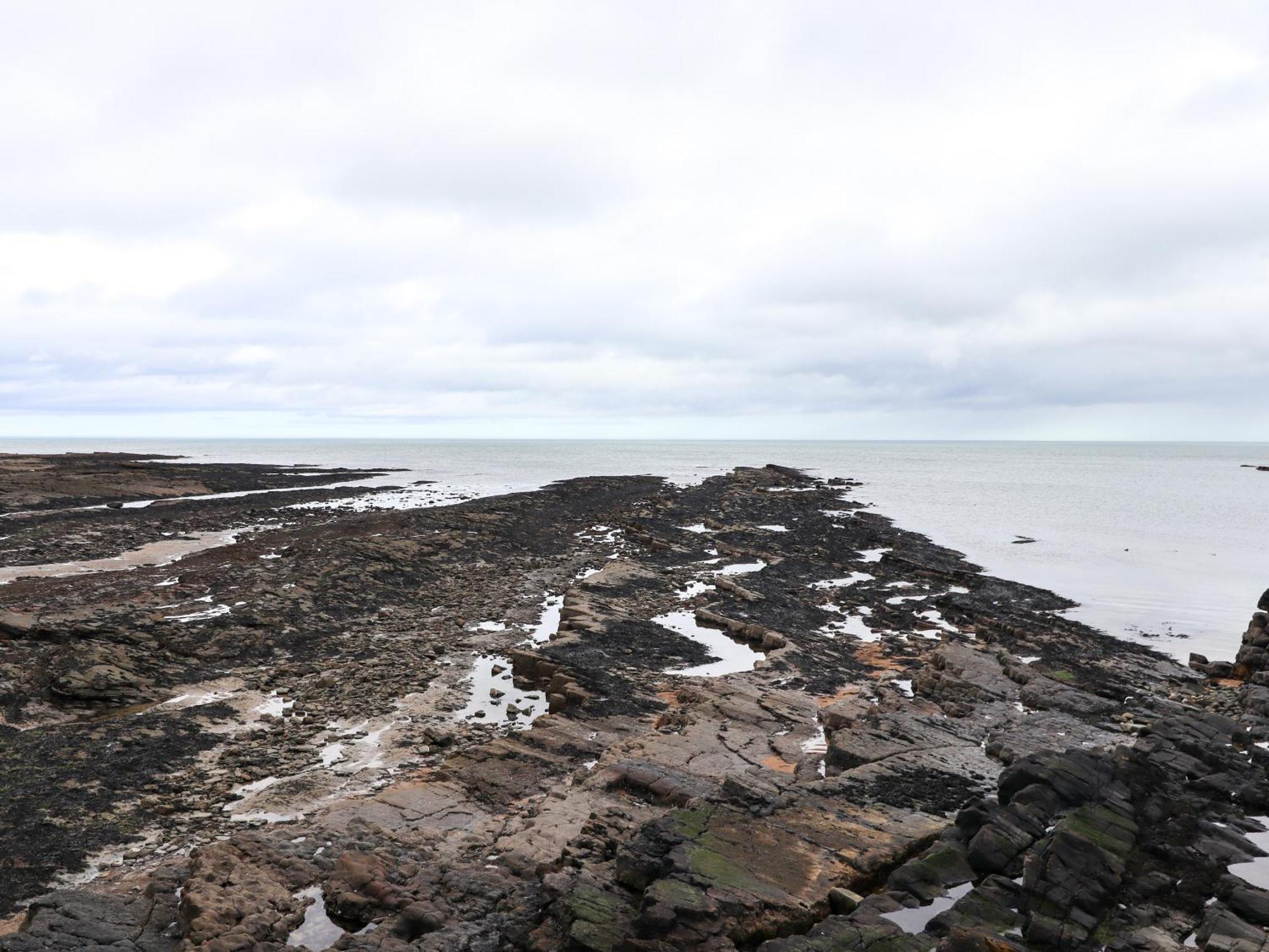Barnacle Cove Villa Beadnell Ngoại thất bức ảnh